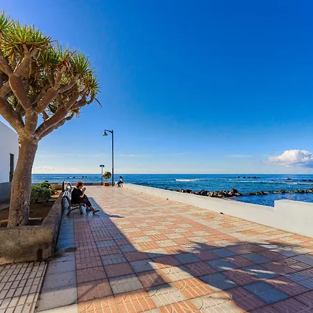 Palmera Sky Terrace