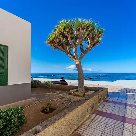 Apartman Palmera Sky Terrace *